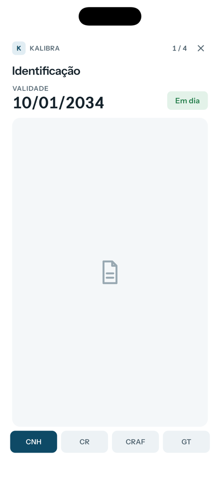 Modo blitz: documento em tela cheia